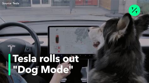 What Is Tesla Dog Mode