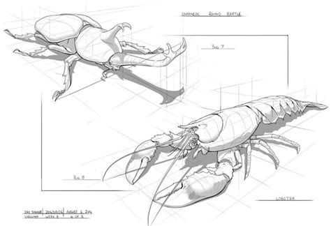 Pin di Ha Ngoc Tran su Animals refs | Insetti, Animali, Creativo