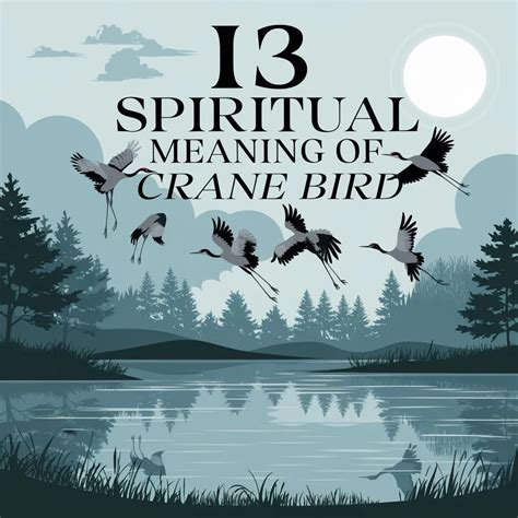 13 Spiritual Meanings of Crane Bird: Signs and Symbolism