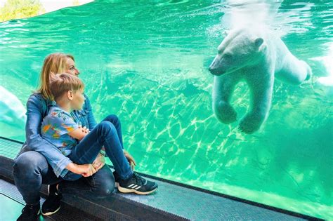 Animal Parks in Mecklenburg-Vorpommern