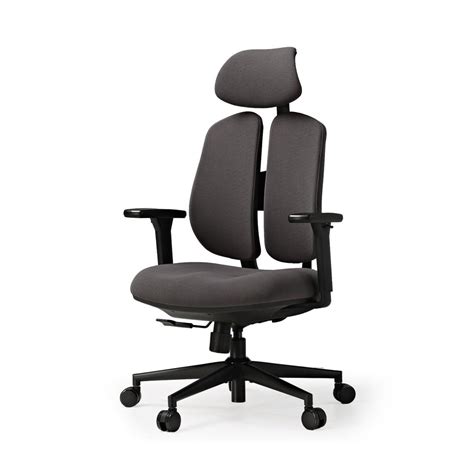 Eureka Ergonomic Ergonomic Office Chair With Back Support Home Desk ...