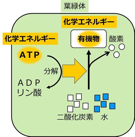 Learn OS Module Python From Beginning に対する画像結果