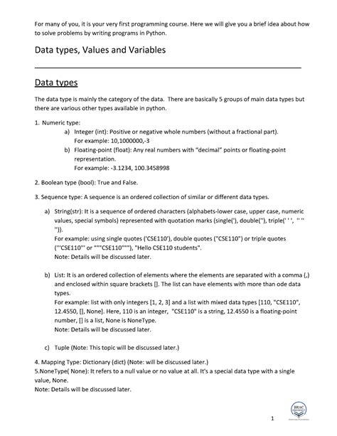 Image result for Python Coding First SYEP