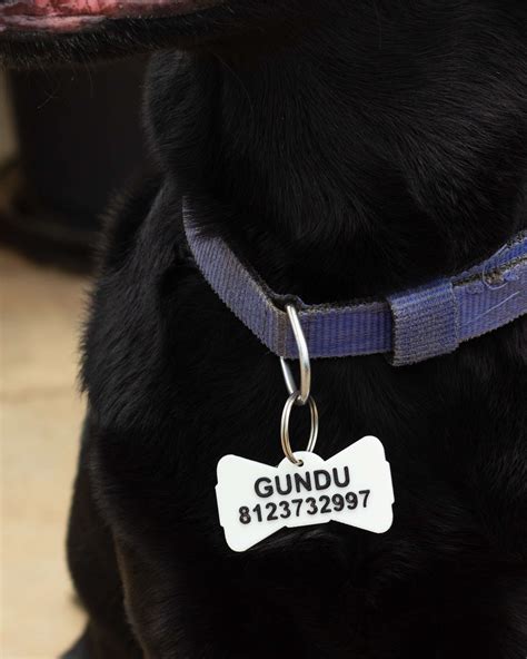 The 3D Printing Store India