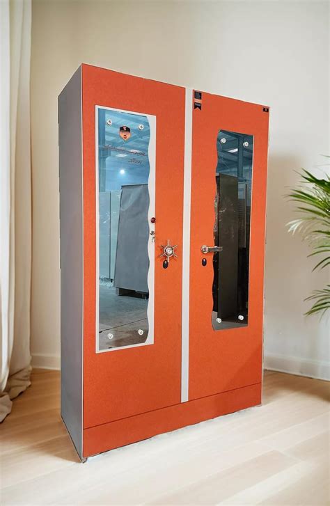 Premium Slim Almirah, 2 Door Metal Wardrobe 19 x 48 x 76 inch, Weight ...