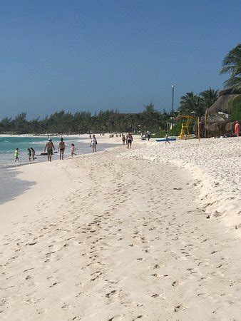 Natural Wellness Parks (Xpu-Ha) - 2022 What to Know Before You Go (with ...