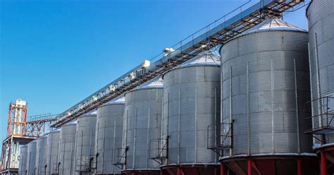 Производители рапсового масла в России — Teletype