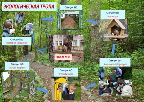 Опыт создания школьной экологической тропы | Статья в журнале «Юный ученый»