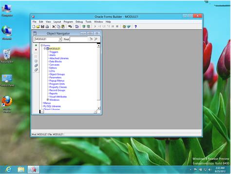 Image result for Oracle Developer Suite