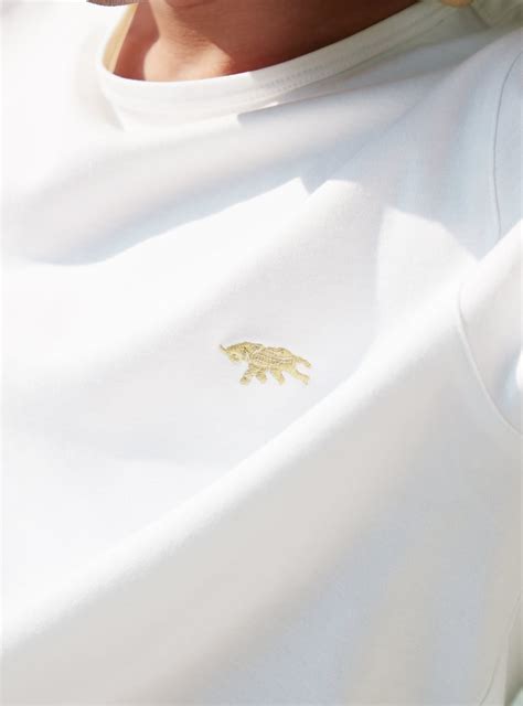 Buy Arctic White Crew | Casual White Solid Tees for Men Online | Andamen