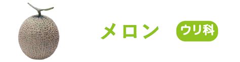 Image result for Single Column Script