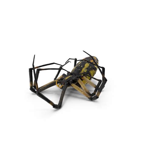 Seven Deadly Sins Merlin R34 PNG Images & PSDs for Download | PixelSquid