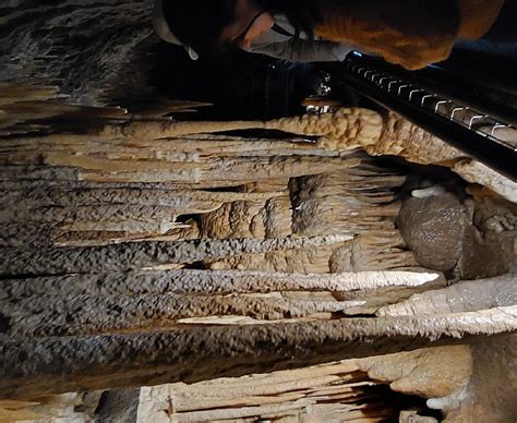 MOLE CREEK CAVES (2026) All You Need to Know BEFORE Going (with Photos)