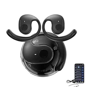 Delighteal Earbuds,T26 Translation Earbuds, T26 Pro Language Translator ...