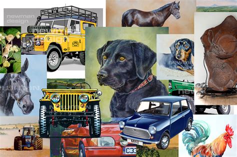 Animation - Newman Design Ltd