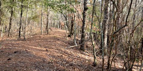 Bladen County Commission approves agreement for repairs to White Oak Dike