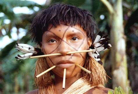 Yanomami Indigenous People of Venezuela: Culture and Life