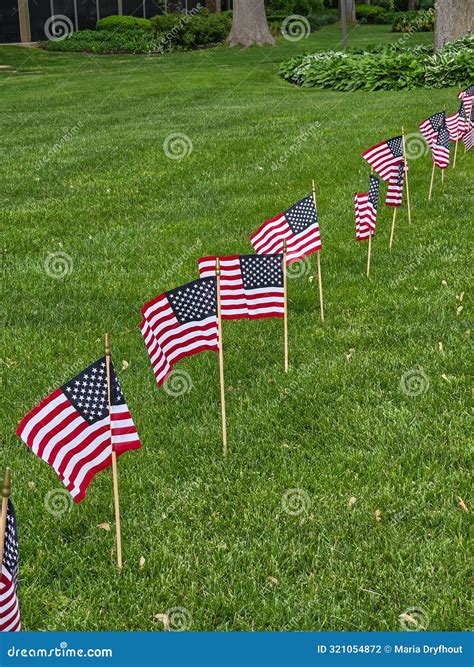 Row of American Flags in a Green Yard Stock Photo - Image of icon ...