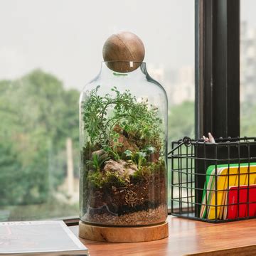 Closed Terrariums | Bring Nature Indoors with ByTheLeaf’s Terrariums ...