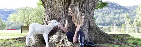 Wool with a Butt - A FOUR PAWS campaign to end the cruel practice of ...