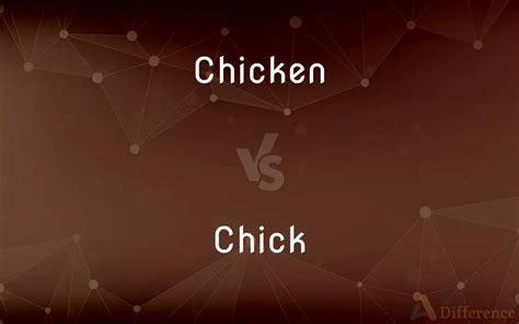 Python vs Chick 的图像结果