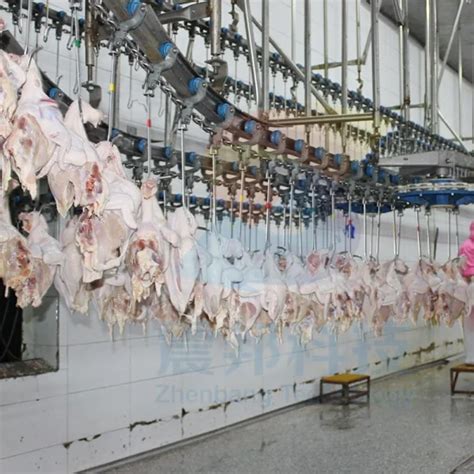 Small Commercial Chicken Processing 的图像结果