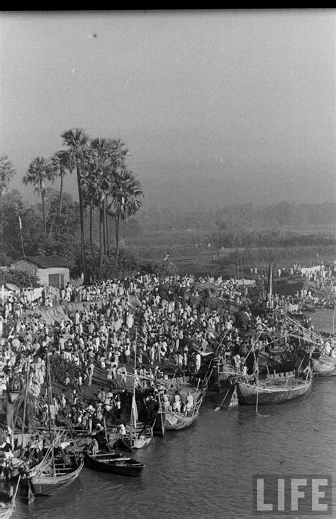 Elephants in Sonepur Cattle Fair in Bihar 1952 - Part 2 - Old Indian Photos