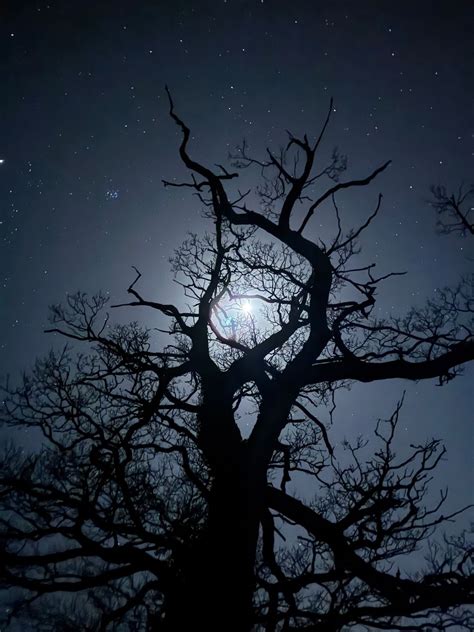 Public Observatory Tour: The Crescent Moon, Norman Lockyer Observatory ...