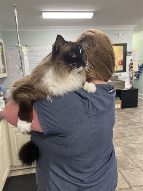 Gallery | Hemlock Bluffs Animal Hospital