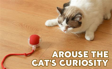 LARYNX Interactive Cat Toys Rolling Ball, Interactive Dog Ball Toy with ...