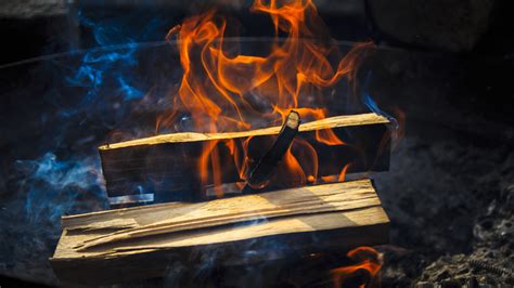 grill party, heat - temperature, orange color, fire, camping, 5K ...