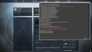 Image result for How to Turn On Developer Console CS GO