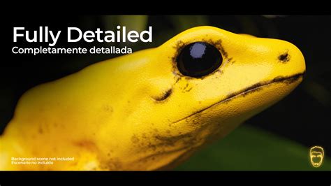 ARROW FROG - Superhive (formerly Blender Market)