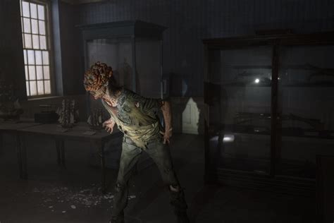 'Last of Us' fungus that turns spiders into zombies found in Scottish ...