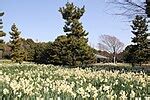 Image result for Divide and Conquer Algorithm Animation