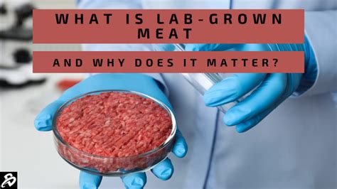Image result for Lab-Grown Prime Rib