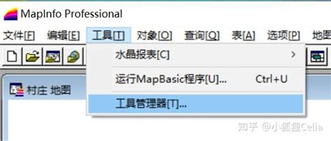 MapInfo Pro Software