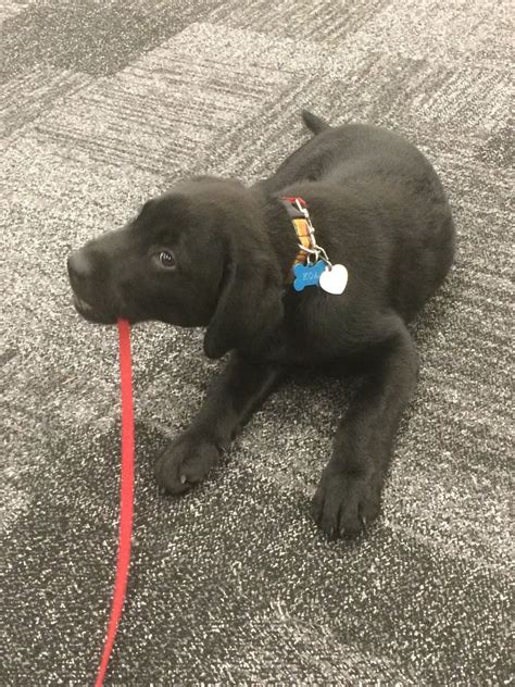 Arc'teryx Office Photos