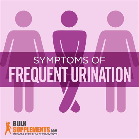 Frequent Urination In Men