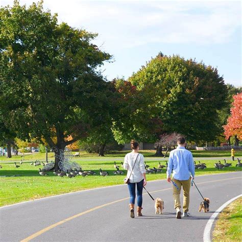 Cheap Flights from Syracuse | Sun Country