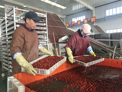 “台州·阿拉尔线上年货节”助力师市农副产品销售实现“撑杆跳”-中国台州网