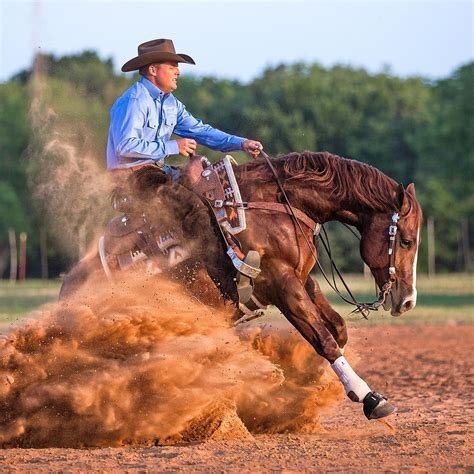 Image result for Reining Tutorials