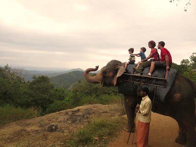 Kattappana Tourism (2023): Best of Kattappana, India - Tripadvisor