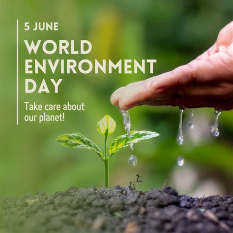 Best World Environment Day Wishes - Wishes, Status, Messages - Dev Library