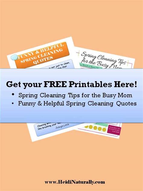 Image result for Easy Spring Cleaning Tips