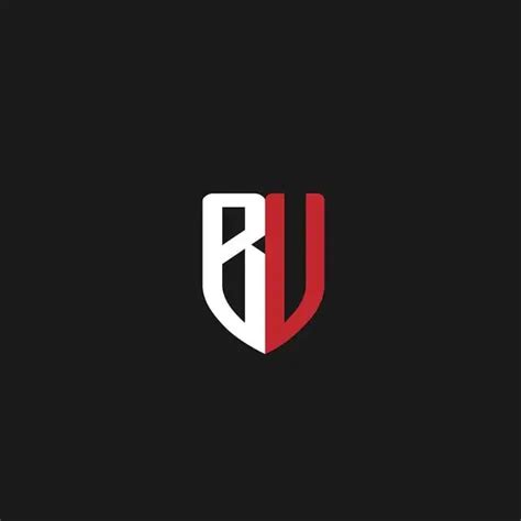 Company Overview - BROTHERS VENTURE PRIVATE LIMITED