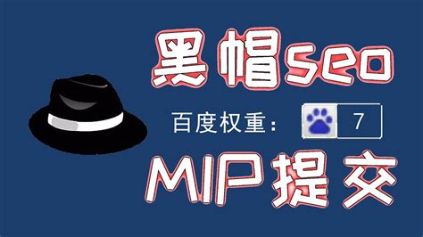 【seo】新网站利用mip提交一周收录页面上千万，这么高效的黑帽seo新技术为啥不能碰？（下） - YouTube