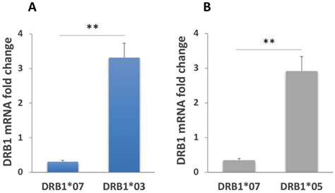 Effect of Gliadin Stimulation on HLA-DQ2.5 Gene Expression in ...