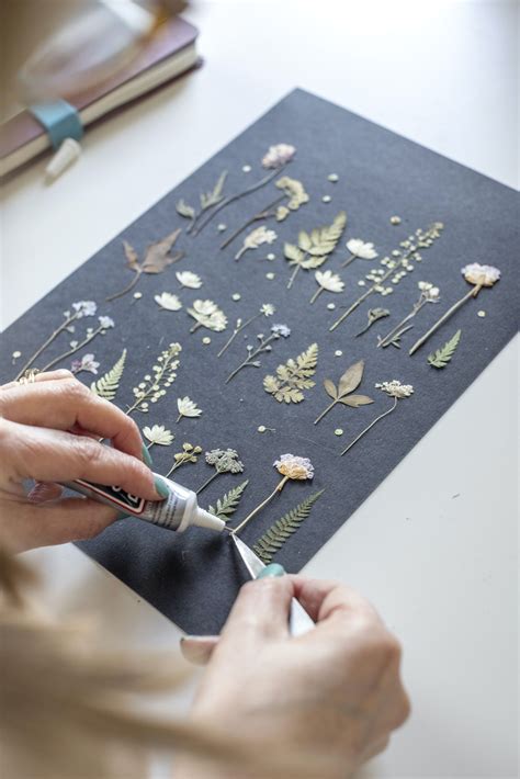 How To Press A Flower Quickly at Emma Wilhelm blog