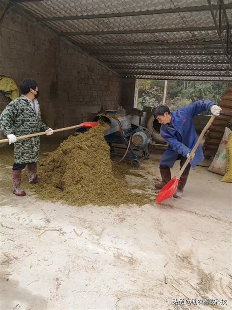 鸡饲料检测划重点，这七大营养成分指标是关键_拜恩检测_专业第三方检测机构